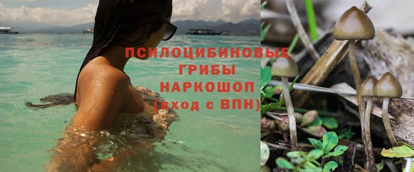 марки lsd Чердынь